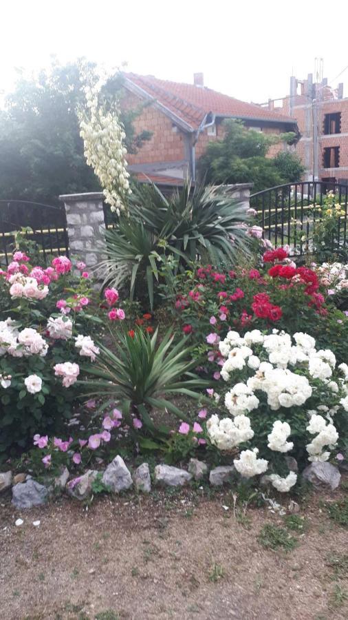 Sobe Seka Hotel Golubac Luaran gambar
