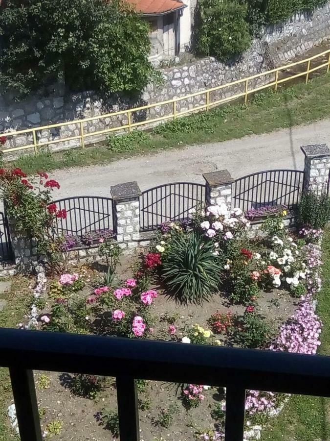 Sobe Seka Hotel Golubac Luaran gambar
